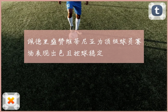 佩德里盛赞维蒂尼亚为顶级球员赛场表现出色且控球稳定